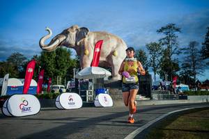 BIB: 
                            <button type="button" onclick="openModal(26541657)" class="btn btn-primary btn-sm float-right btn-popup" data-toggle="modal" data-target=".modal-high-quality">
                        <i class="fas fa-shopping-cart"></i> Add to Cart
                    </button>
                                            <button type="button" onclick="isThisMe(26541657, true)" class="btn btn-success btn-sm float-right btn-popup btn-isme hidden" data-toggle="tooltip" data-placement="bottom" title="นี่คือรูปของคุณใช่ไหม คลิกที่นี่เพื่อเอาเข้าอัลบั้ม">
                        <i class="fas fa-plus"></i> Add to album
                    </button>
                    <button type="button" onclick="isThisMe(26541657, false)" class="btn btn-warning btn-sm float-right btn-popup btn-isnotme hidden">
                        <i class="fas fa-ban"></i> Remove from album
                    </button>